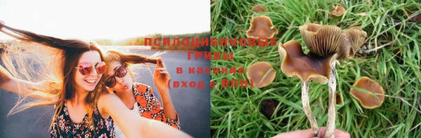 герыч Верея